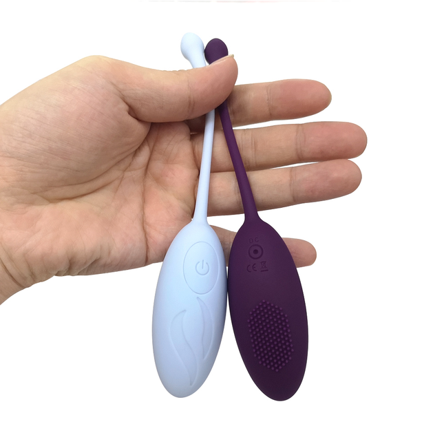 Blue and Purple Flexible G Spot Love Egg Vibrator Holding sex toys in hand