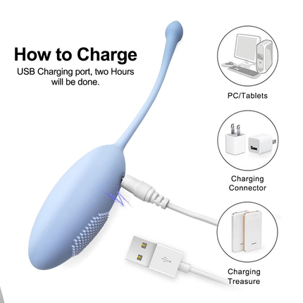 How to charge Blue Flexible G Spot Love Egg Vibrator Diagram