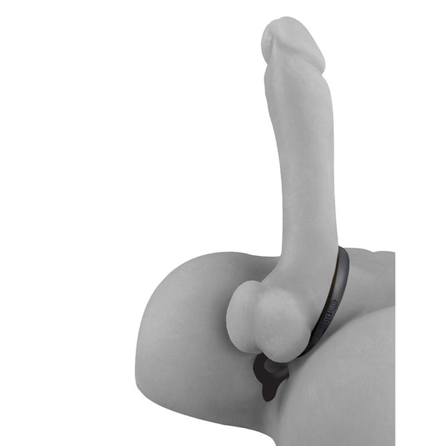 Large Penis with Cockring and Anal Bead inserted