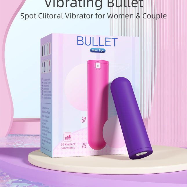 Pink Case Mini 10 Speed Bullet Vibrator