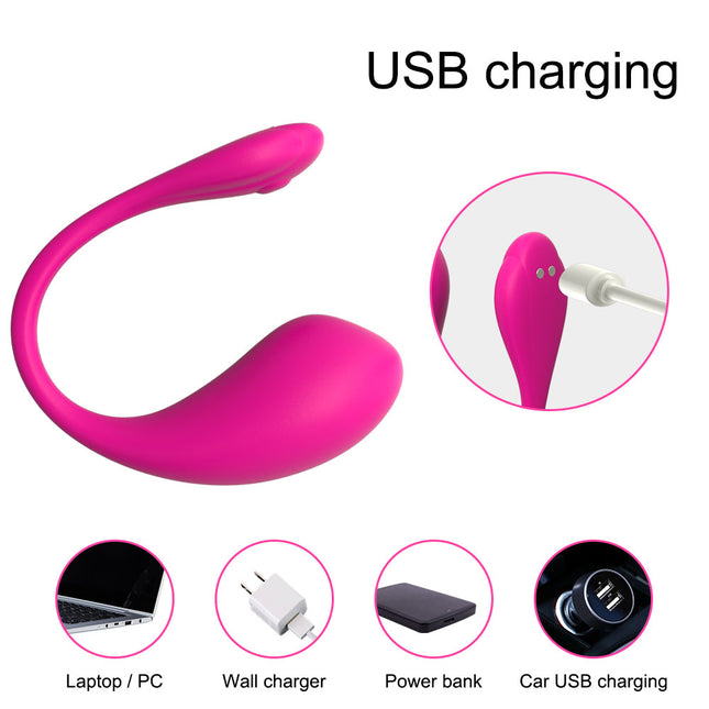 Pink Luxury App Controlled Egg Vibrator USB Charging how to use