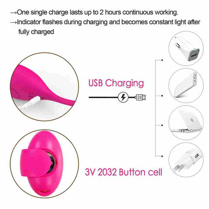 Pink Luxury Ben Wa Kegel Egg USBCharging Instructions