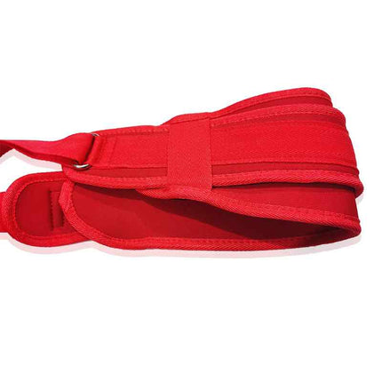 Red Sex Swing Nylon Straps