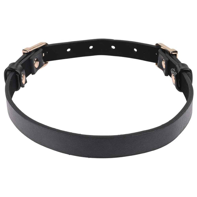 Sex & Mischief Double Buckle Day Collar Black and Gold