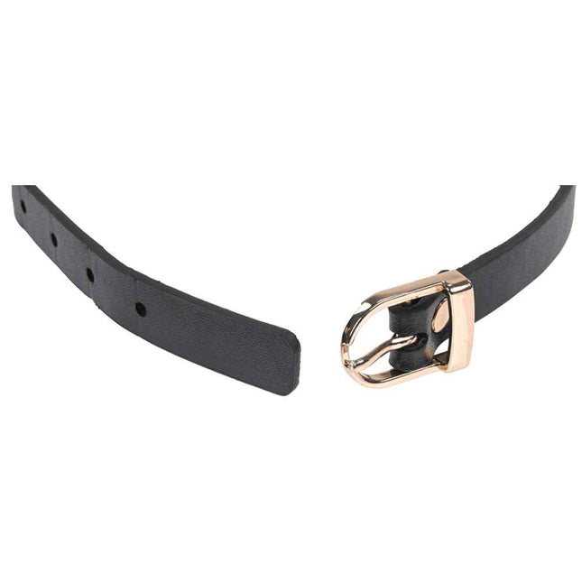 Sex & Mischief Double Buckle Day Collar Small Gold and Black