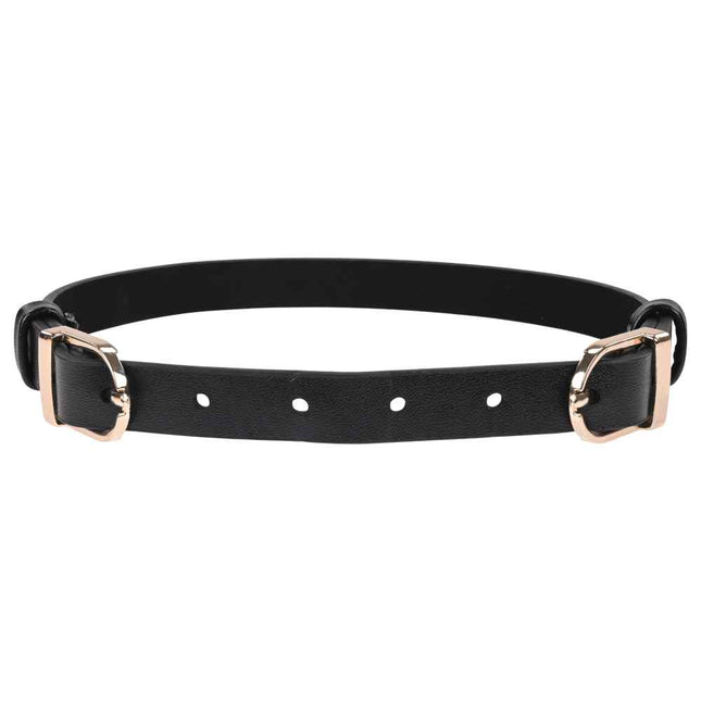 Sex & Mischief Double Buckle Day Collar with Gold Straps