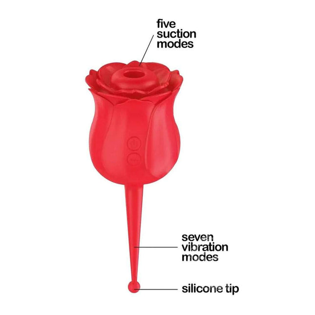 Wild Rose Le Point Air Pulse Stimulator Vibration Modes Diagram of Sex Toy