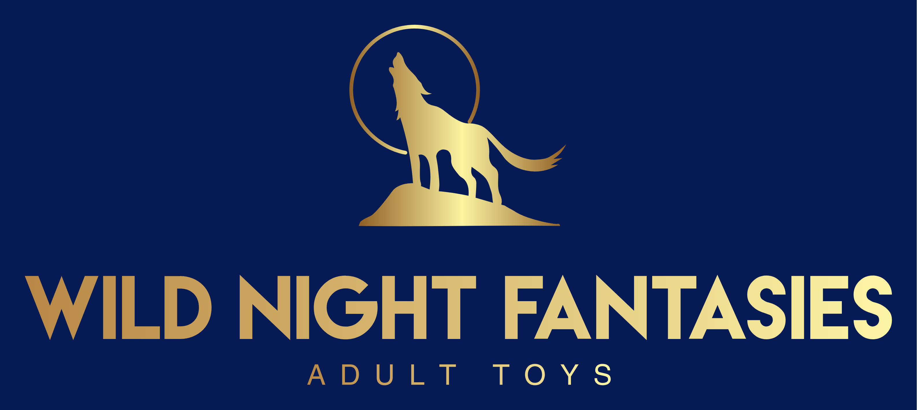 Wild Night Fantasies Logo